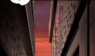 下水道的鱼美人 下水道的鱼美人